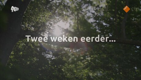 De zomer van Zoë | Marathon